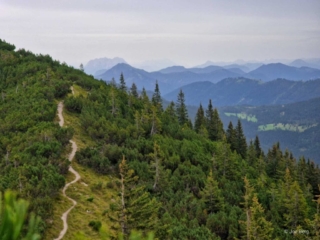 Halserspitze – Abenteuerliche Rundwanderung ueber Wolfsschlucht und Blauberggrat -scaled (15)