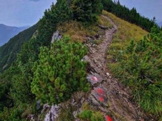 Halserspitze – Abenteuerliche Rundwanderung ueber Wolfsschlucht und Blauberggrat -scaled (21)