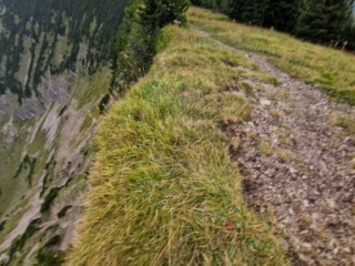 Halserspitze – Abenteuerliche Rundwanderung ueber Wolfsschlucht und Blauberggrat -scaled (22)