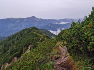 Halserspitze – Abenteuerliche Rundwanderung ueber Wolfsschlucht und Blauberggrat -scaled (30)